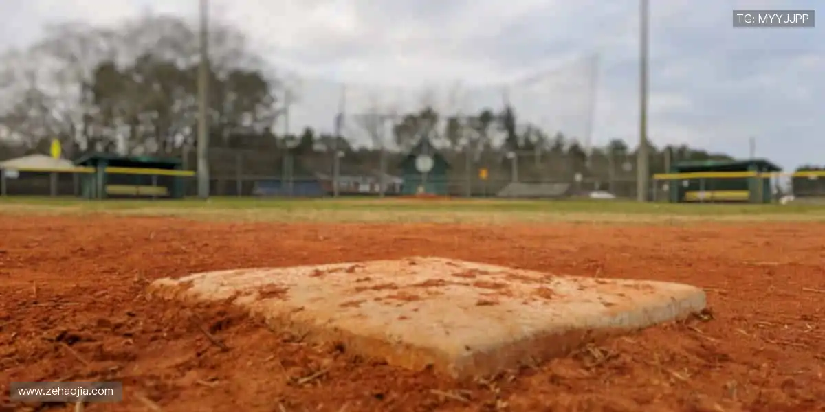 🏀 高清直播,实时尖叫,与全球球迷同频共振!