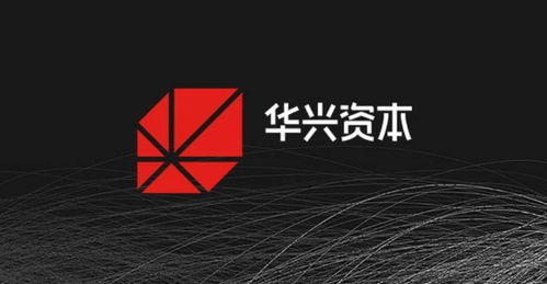 河狸家获阿里数亿元战略投资 华兴资本担任独家财务顾问的深层逻辑